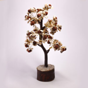 Gomti Chakra Rudraksh Tree