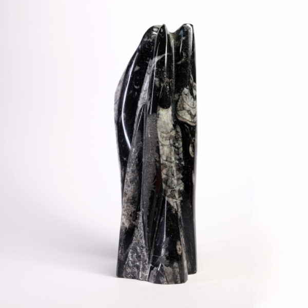 Orthoceras (Kuber Stone) Tower - Image 3