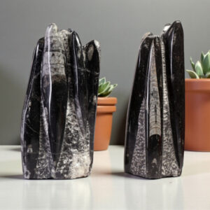 Orthoceras (Kuber Stone) Tower