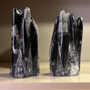 Orthoceras (Kuber Stone) Tower