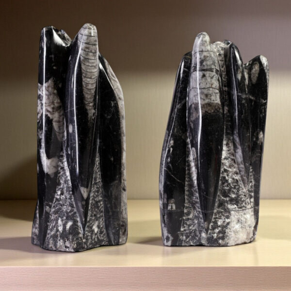 Orthoceras (Kuber Stone) Tower - Image 2
