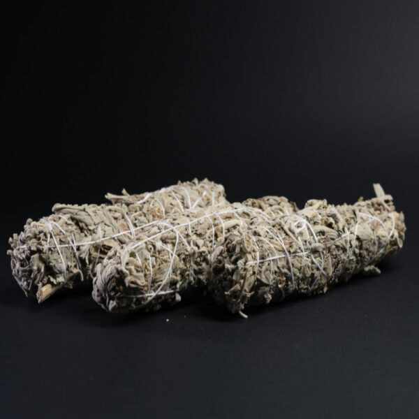 Sage - Image 3